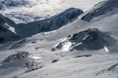IMG_0990