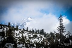 IMG_1100