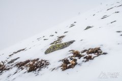 IMG_1101
