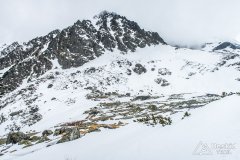 IMG_1136