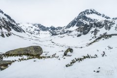 IMG_1137