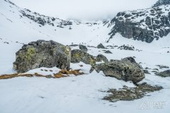 IMG_1140