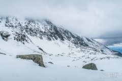 IMG_1141
