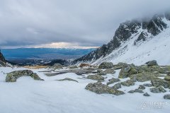 IMG_1195
