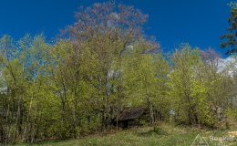 Kamienny szałas pod Przykrzycą