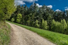 Końcówka ul. Dworskiej
