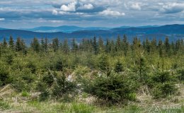 IMG_1350