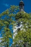 IMG_1324