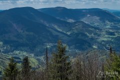 IMG_1328