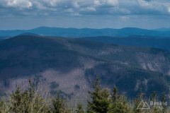 IMG_1329