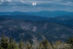 IMG_1330