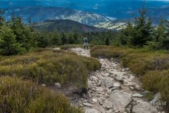 IMG_1331