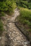 IMG_1332