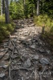 IMG_1338