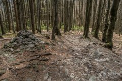 IMG_1339