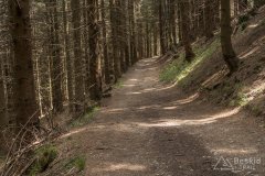 IMG_1340