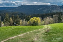IMG_1341