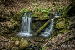IMG_1345