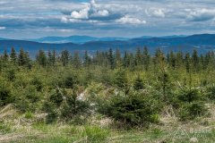 IMG_1350