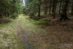 IMG_1351