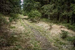 IMG_1353