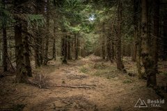 IMG_1357