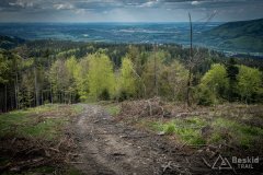 IMG_1363