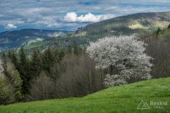 IMG_1364
