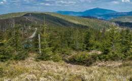 IMG_1394