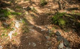 IMG_1404