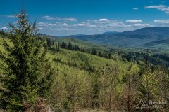 IMG_1367