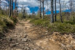 IMG_1369