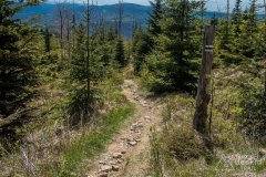 IMG_1370