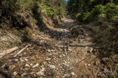 IMG_1372