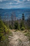 IMG_1374
