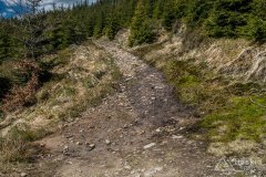 IMG_1377