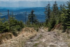 IMG_1378