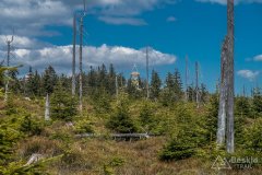 IMG_1379