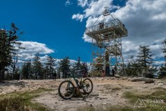IMG_1381