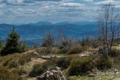 IMG_1384