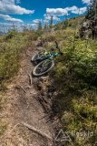 IMG_1385