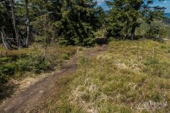 IMG_1386