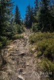 IMG_1388