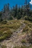 IMG_1391