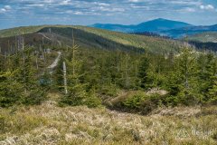 IMG_1394