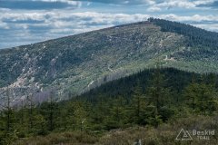 IMG_1396