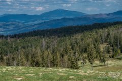 IMG_1402