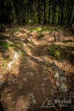 IMG_1404