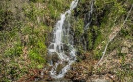 IMG_1410