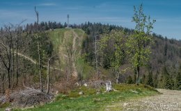 IMG_1411